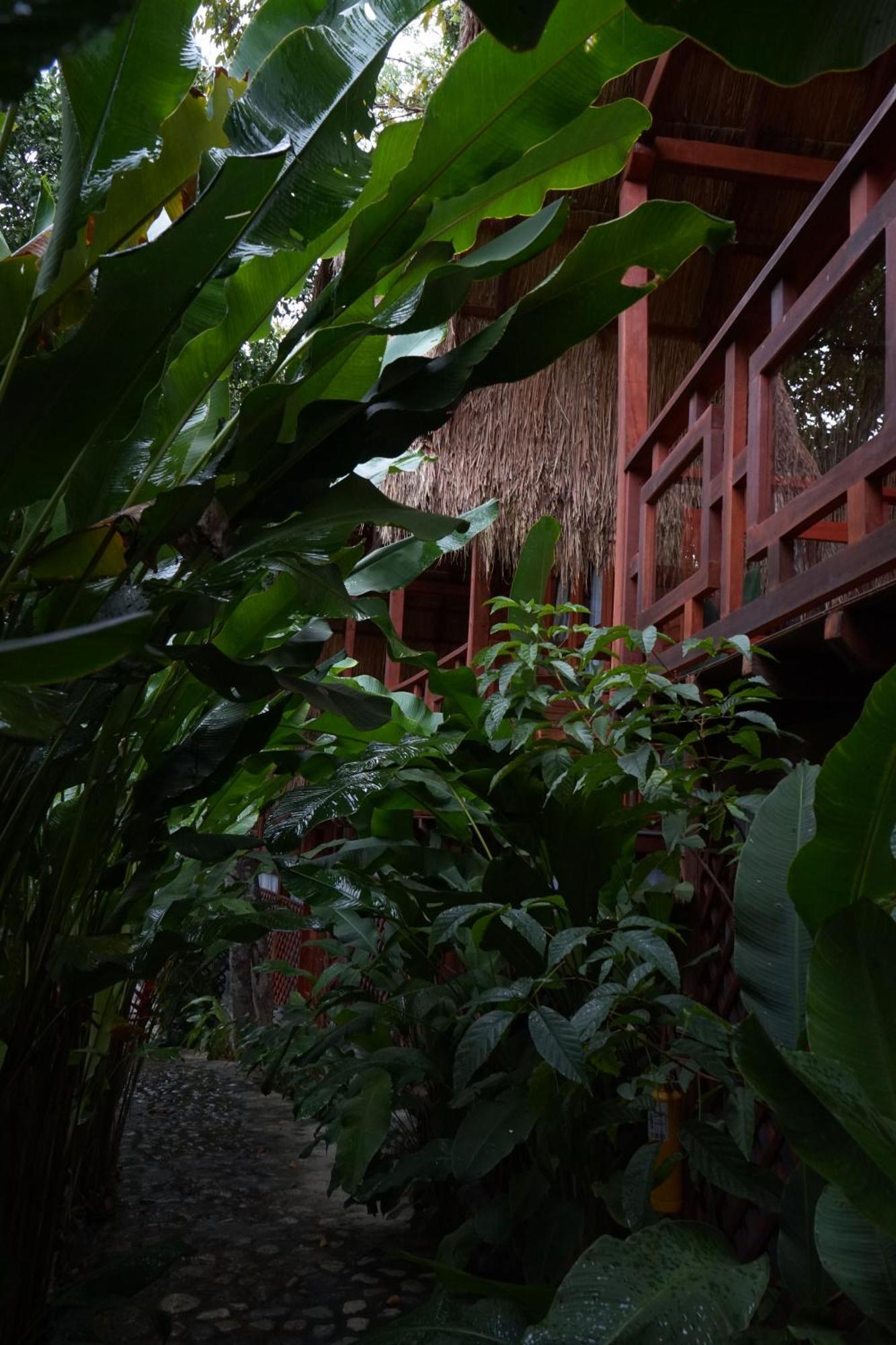 Bio Rio Hotel San Jeronimo  Luaran gambar